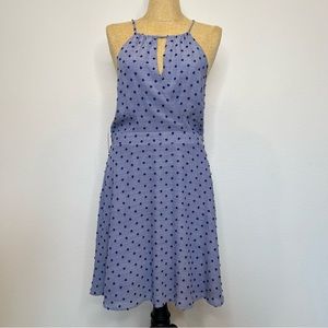 Anthropologie Sunday in Brooklyn Fit and Flare Blue Polka Dot Dress Large NWT